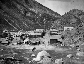 Silver Plume - before the fire of Nov. 5, 1884, c.1880-84